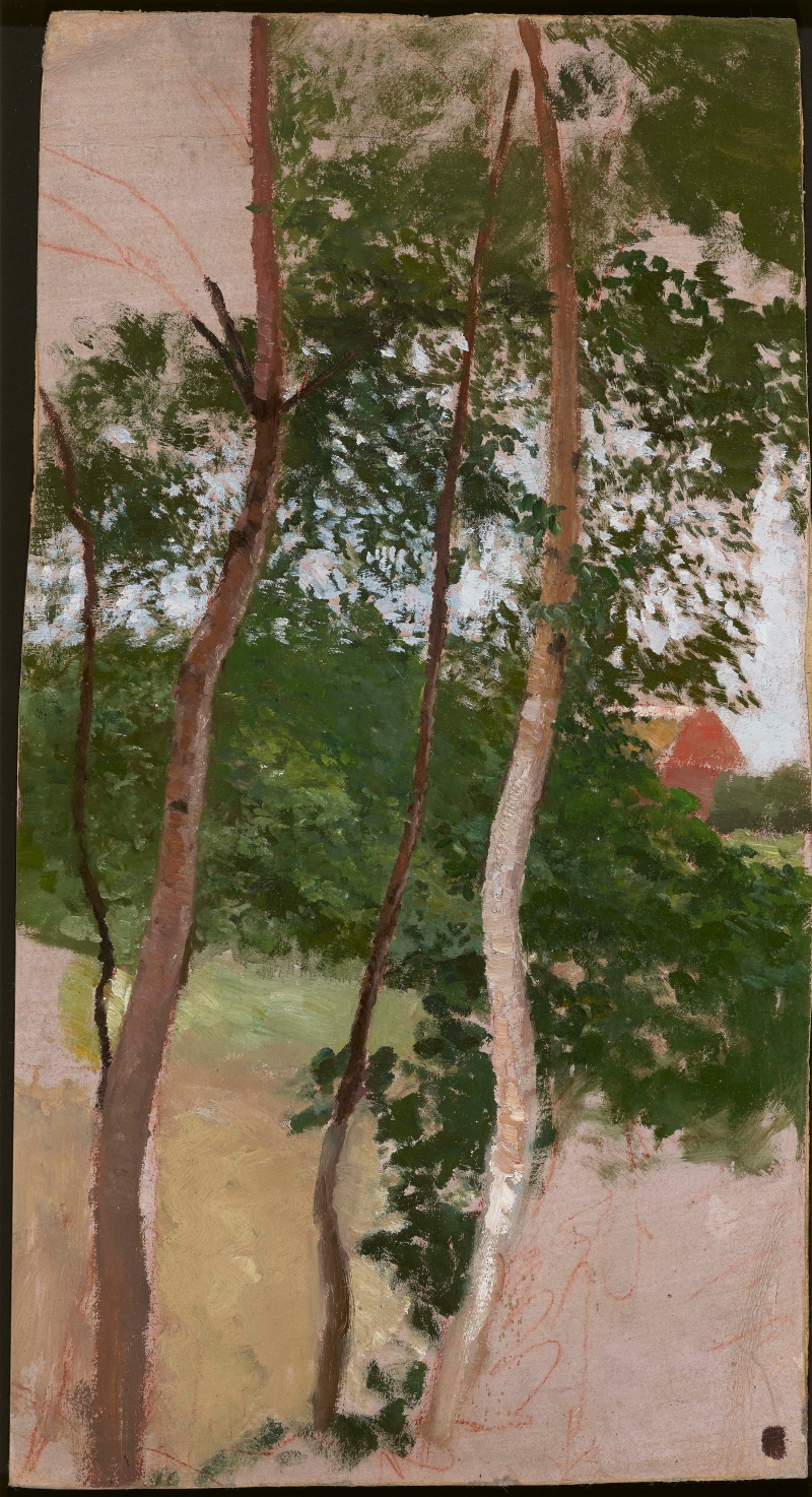 Landschaftsstudie mit Birken und Haus, 1898 Modersohn, Otto