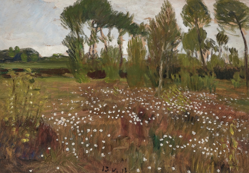 Moor mit Heide und Wollgras, 1903 Modersohn, Otto