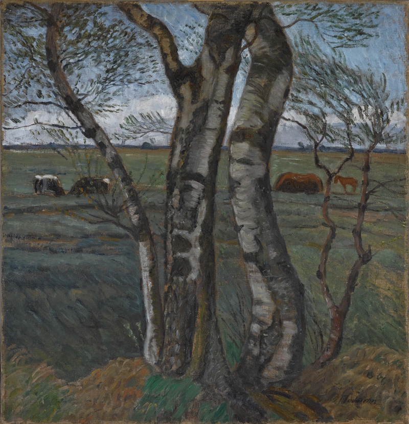 Birkenstämme, 1912, verso Heidestudie Modersohn, Otto